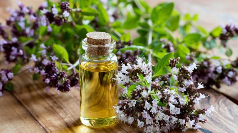 Sourcing from the Greek mountains