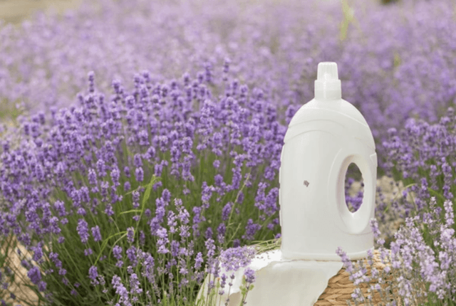 Laundry soap 2